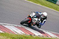 cadwell-no-limits-trackday;cadwell-park;cadwell-park-photographs;cadwell-trackday-photographs;enduro-digital-images;event-digital-images;eventdigitalimages;no-limits-trackdays;peter-wileman-photography;racing-digital-images;trackday-digital-images;trackday-photos